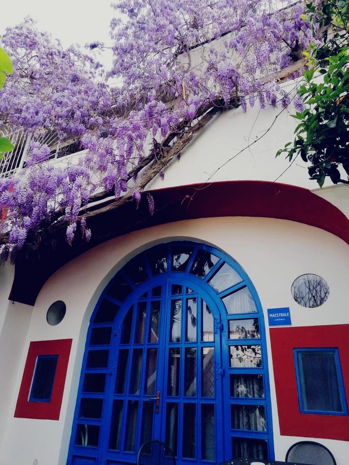 Dimora Coloniale B&B Forio di Ischia Exterior foto